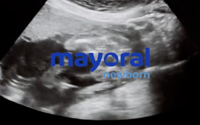 Mayoral – locución