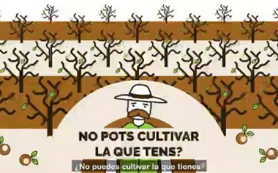 ayto valencia – LOCUCIÓN Y MEZCLA