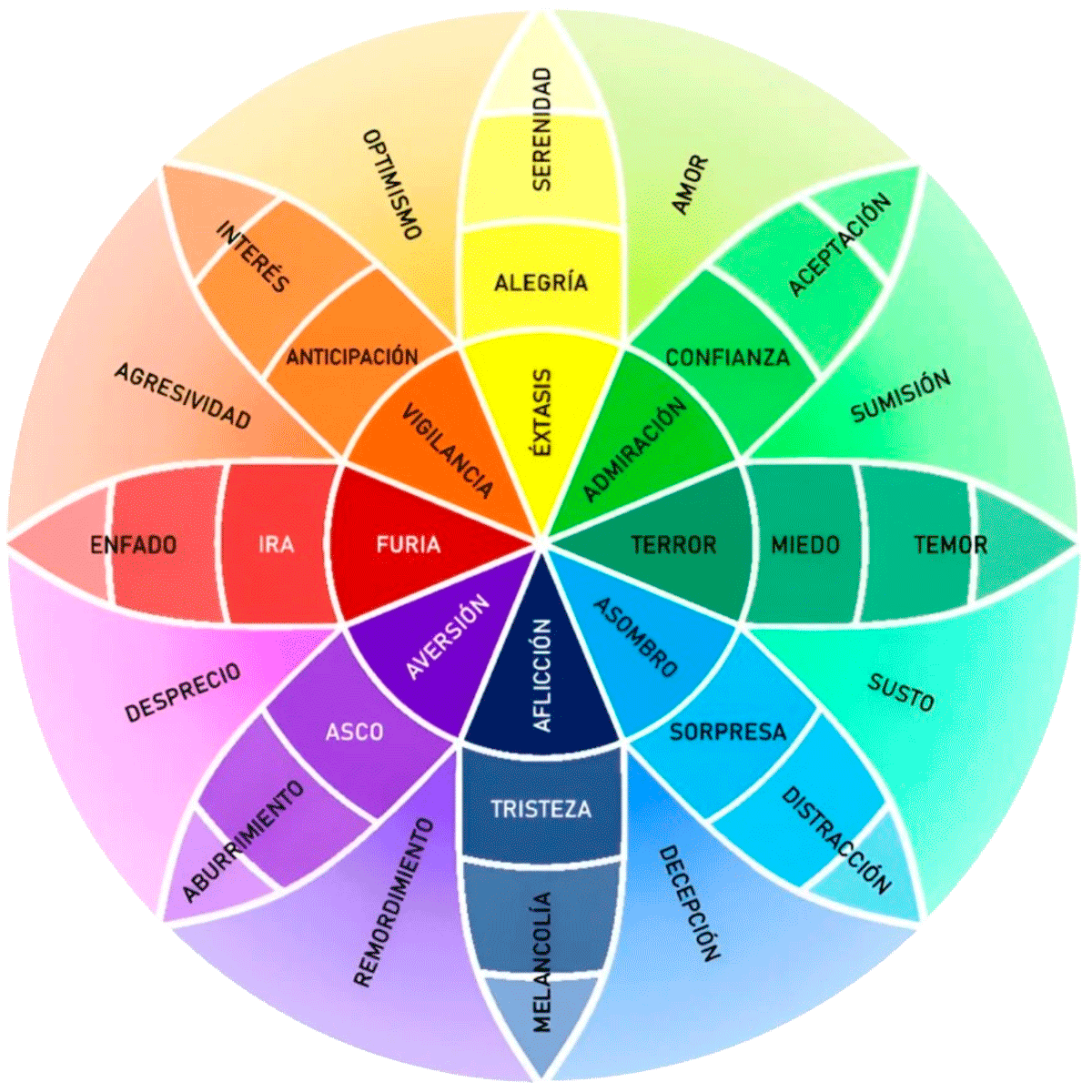 Rueda-de-las-emociones-2